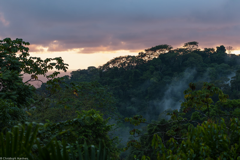 Costa Rica - Corcovado - Luna Lodge