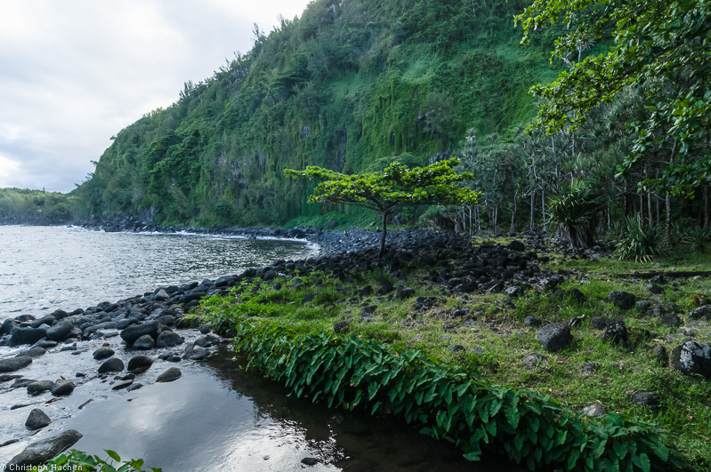 La Réunion(FR) - Anse des Cascades